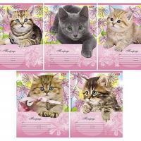 Тетради 18 листов