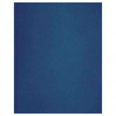 Тетрадь А4 96л. кл. офсет, бумвинил  Т4бв96к_12338