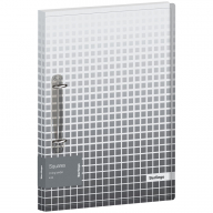 Папка 2 кольца А4 24мм Berlingo "Squares", 24мм, 600мкм, D-кольца, с внутр. карманом RB4_2D051