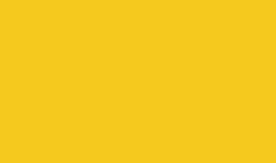 Бумага цвет. FOLIA 300гр/м2, 50*70, желтый золотистый