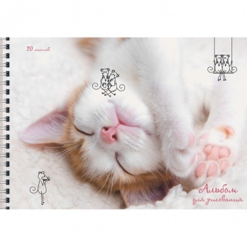 Альбом д/рис 20л. спир. "Чудесный котенок"  АС202034