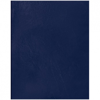 Тетрадь 48л. кл. офсет, бумвинил, ассорти