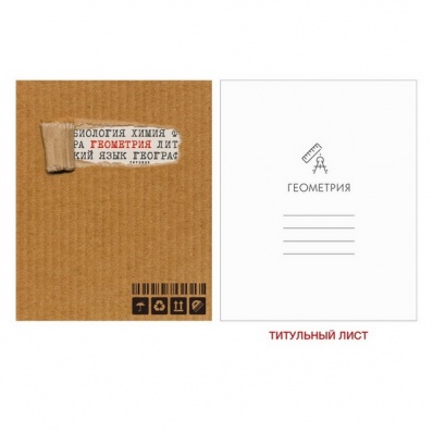 Тетрадь 48л. кл. Геометрия "Style kraft" ТТ2Л486925