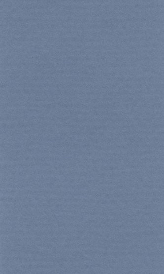 Бумага для пастели "Lana Colours" 21*29,7см, 160г/м2, голубой