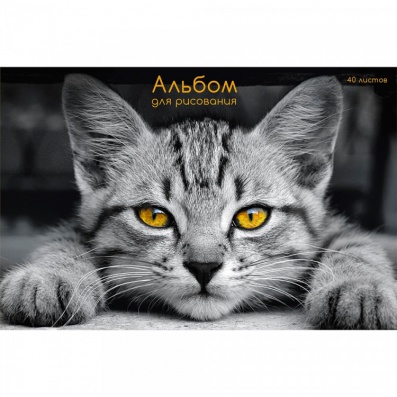 Альбом д/рис. 40л. на скреп. "Взгляд кота" АЛ402462