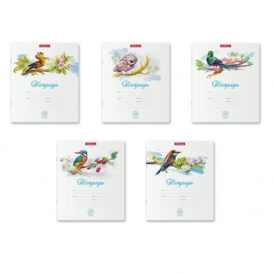 Тетрадь 18л. кл. "Птицы" 58398