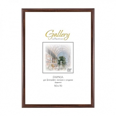 Фоторамка пластиковая Gallery 50х70 647246-20