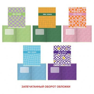Тетрадь 48л кл. "Мои записи" ТК488759