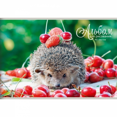 Альбом д/рис 40л. на скреп. "Блестящие и милые"  АБ402565