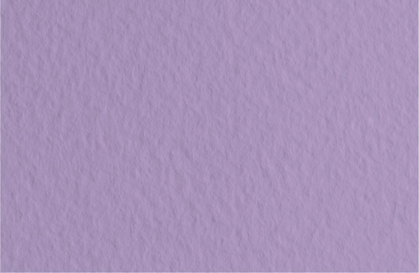 Пастельная бумага 50*65, Tizifno, ирис, 160г/м2