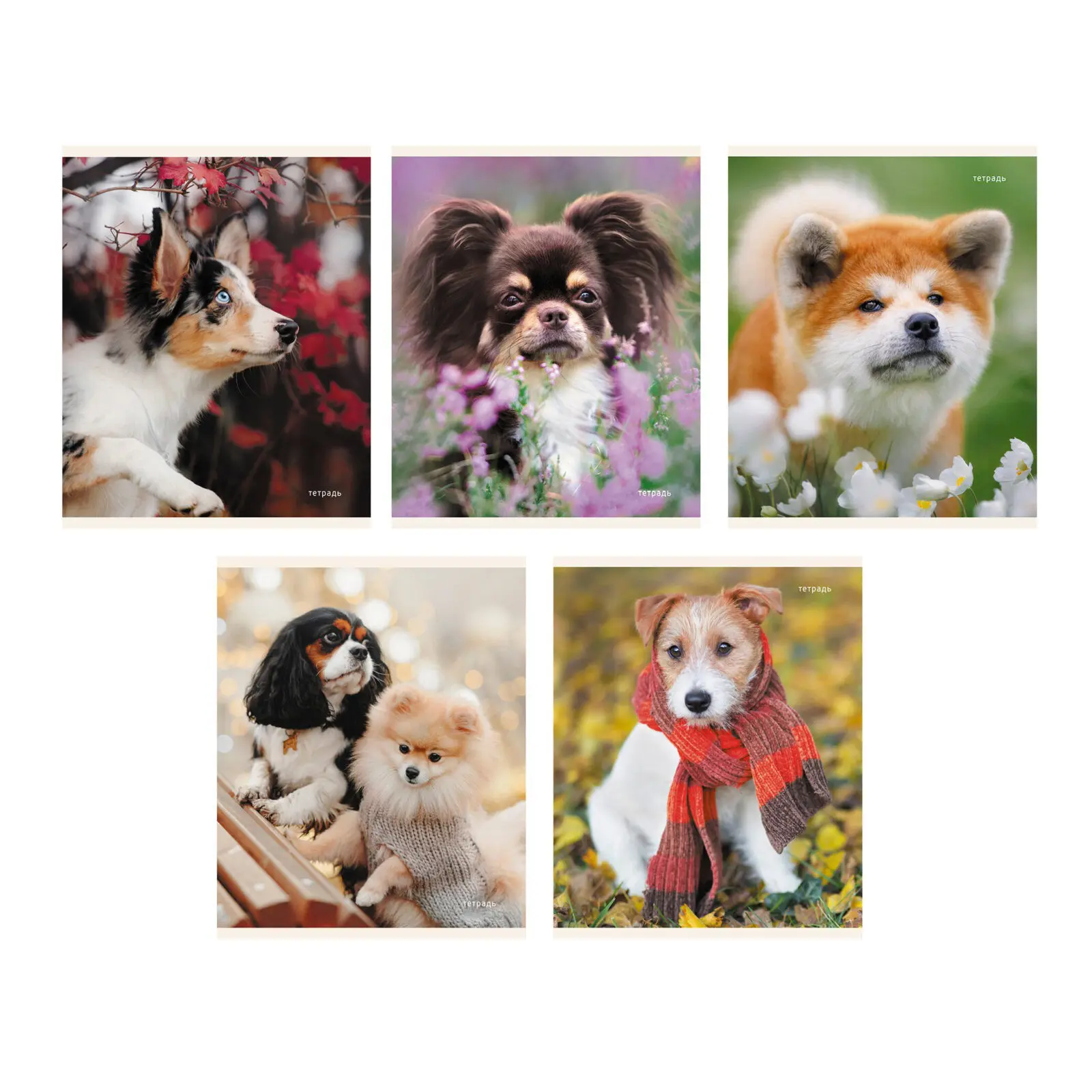 Тетрадь 96л кл. "Пушистые друзья" ТК968386