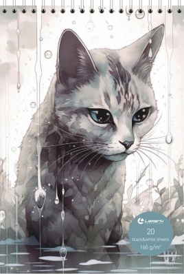 Скетчбук А5 "Дождь" черная и белая бумага, 160г/м2, 20л