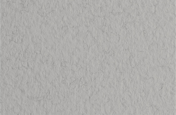 Пастельная бумага 50*65, Tizifno/Серый холодный, 160г/м2