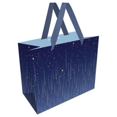 Пакет бум./ламин. 23*18*10см "Star rain" MESHU  MS_66159