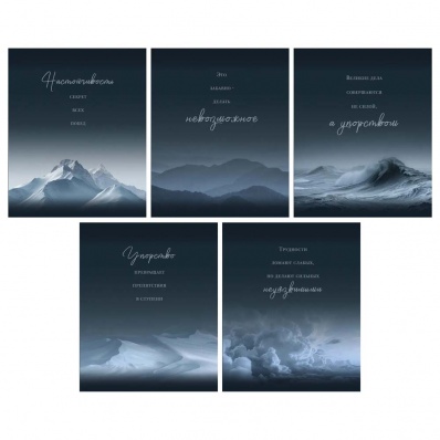 Тетрадь 96л. кл. "Небесные пики" Т2Л969711