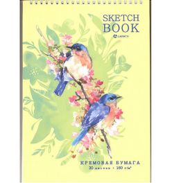 Скетчбук А4 "Птички на ветке",160г/м, спираль сверху, кремовая бумага, 30л.   33156