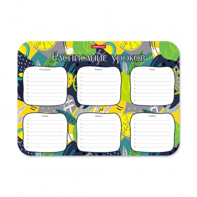 Расписание уроков А4 "Lime" пластиковое ЕК 55997