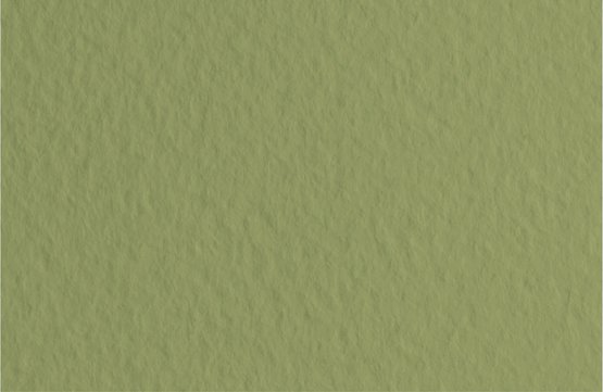 Бумага для пастели 50*65см, Tizifno, оливковый, 160г/м2