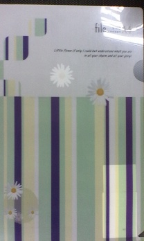 Папка-уголок А4 "Flowers stripes"  ЕК 17934