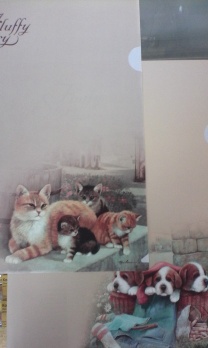 Папка-уголок А4 "Fluffy story"  ЕК 18188