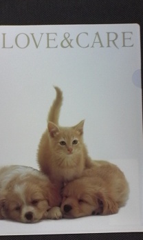 Папка-уголок А4 "Love & care"  ЕК 18249