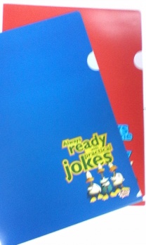 Папка-уголок А4 "Sitting ducks"  ЕК 18361