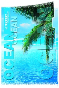 Папка-уголок А4 "Пальма" 180мк 220202