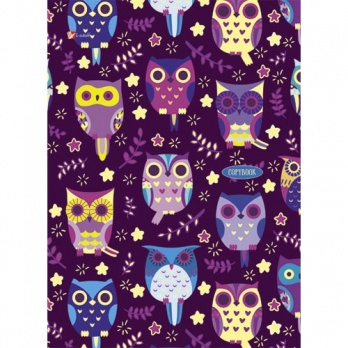 Тетрадь на кольцах А5 120л. "Совы" ПББ1204202