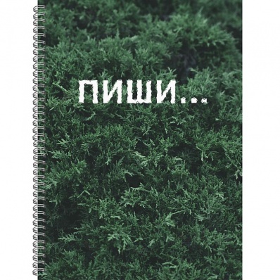 Книга д/записей А4 120л. на спир,. кл. "Пиши"  ТС41205236