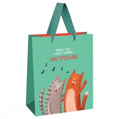 Пакет бум./ламин. 18*23*10см "Настроение"  MS_51873