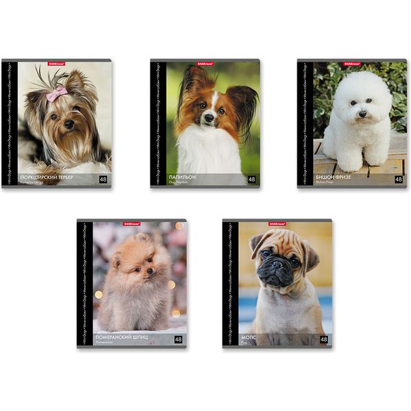 Тетрадь 48л кл. "Энциклопедия. Собаки мини-пород" ЕК 54249