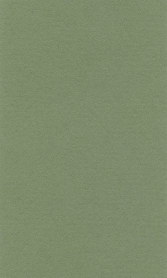 Бумага для пастели "Lana Colours" 21*29,7см, 160г/м2, зеленый сок
